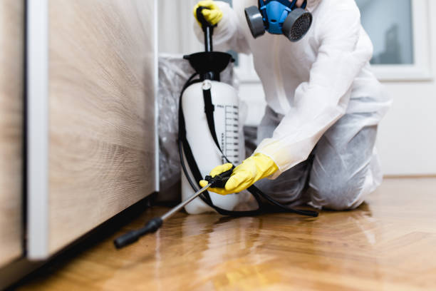 Best Wasp Removal Services  in Whitfield, FL