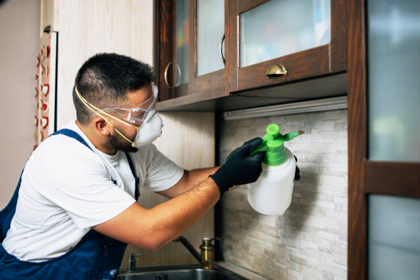 Best Pest Prevention Services  in Whitfield, FL