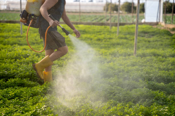 Best Exterminator Services  in Whitfield, FL