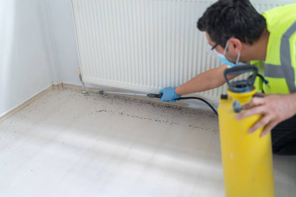 Best Pest Control Cost  in Whitfield, FL