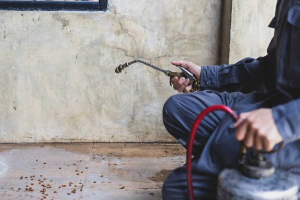 Pest Prevention Services in Whitfield, FL